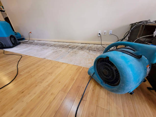 Professional Basement Flood Cleanup technician working in Auburn, NY